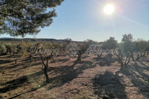 Landejendom i Yecla, Murcia, Yecla - € 155.000 | Ref: SF0370 - foto 20